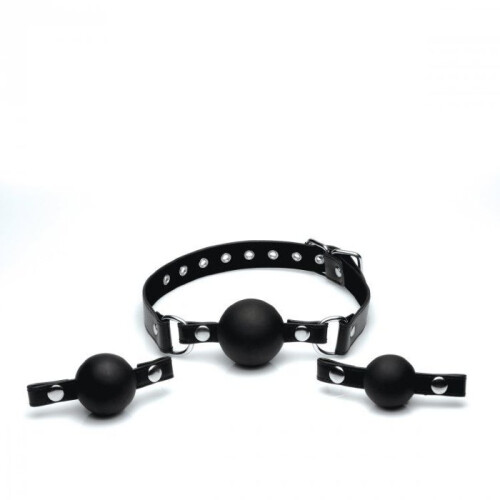 Interchangeable Silicone Ball Gag Set 2