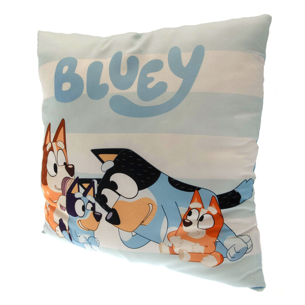 Bluey Stripe Filled Cushion