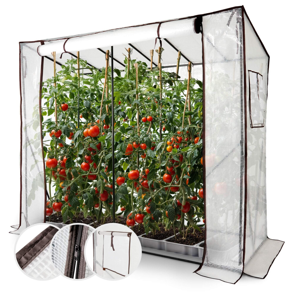 AREBOS tomato greenhouse film greenhouse | greenhouse small | tomato house, greenhouse with roll-up door | 200 x 77 x 170 cm | greenhouse film