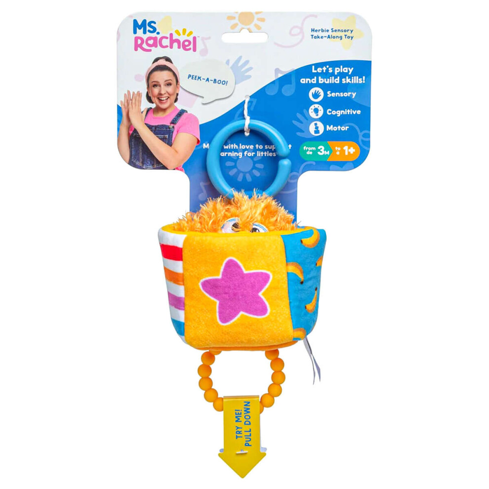 Spin Master Herbie Sensory Take-Along Toy