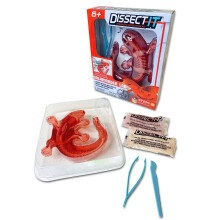 Dissect-It Simulated Synthetic Lab Dissection Toy, STEM Projects for Kids Ages 6+, Animal Science, Biology, Anatomy Home Learning Kit, Great for Youn