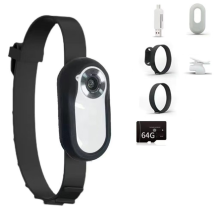 Κολάρο HD 1080P Dog Tracker Δεν χρειάζεται WiFi Κάμερα γάτας Λευκό