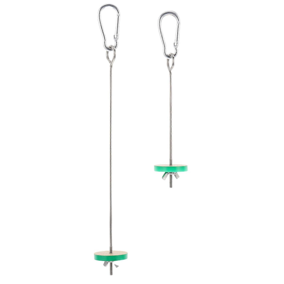 Kricely (As Show, One Size) 2Pcs Parrot Veggies Skewer Fruit Holder Stainless Steel Fruit Fork Bird Feeder