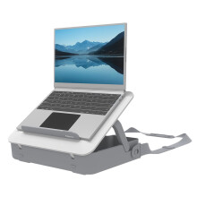 Fellowes Säilytyskotelo Breyta W