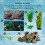 Aquarium ? bords Noir avec Kit de D?marrage et Meuble de support Noir 3