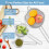 Sieve Tea Strainers, Sieves and Strainers, Kitchen Sieve, Fine Mesh 7