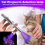 Wood's Lamp Portable,UV Black Light for Pet Care, Ringworm Detector 6