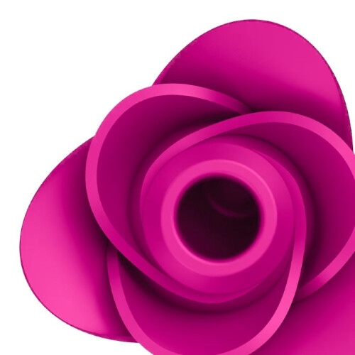 Satisfyer - Klitorisstimulator PRO 2 MODERN BLOSSOM 1