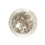 Stargazer Stargazer Glitter T?hdet SPECTRUM 1
