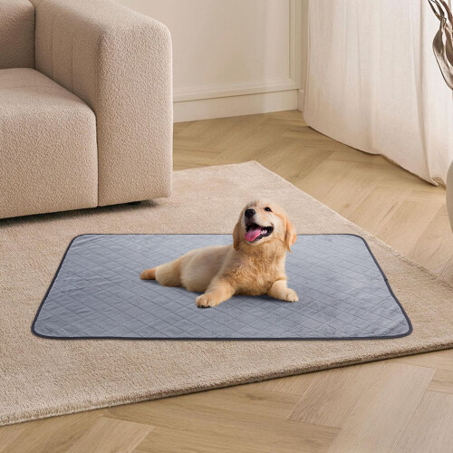 Living And Home (70*100cm) Washable Reusable Pet Pee Pad Training Pad