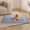 Living And Home (91*121cm) Washable Reusable Pet Pee Pad Training Pad 1