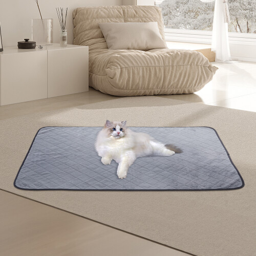 Living And Home (91*121cm) Washable Reusable Pet Pee Pad Training Pad 2