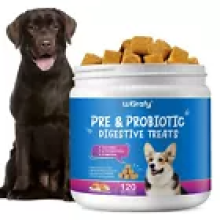 Daily PRE PROBIOTICS Food Treats Chews FOR DOG HEALTHY DIGESTION GUT SUPPORT