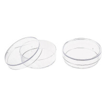 (As show, One size) 10 pcs. 35mm x 10mm Sterile Plastic Petri Dishes with Lid for LB Plate Yeast (Transparent color)