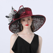(wine red, One size) Women's Fashion Color Ding Cloth Polyester Mesh Big Eaves Hat