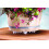 Bosmere 16 """" Clear S16440 Down Under Plant Stand 4