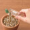 Midori CL Slide Ruler Black (42259006) 4