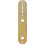 Fender Fender Control Plate - Telecaster - Guld 1