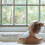 Aquasentials Gentle Weave Bath Cloth (2 Cloths) 4