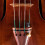 THOMASTIK -INFELD VISION SILLIN SINTRING - SALA 4/4 - Nr VI02 3