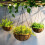 HHTHH 4pcs Correntes Pretas de 14 Polegadas para Cestos Pendentes 3