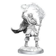 Dungeons & Dragons D&D: Nolzurs fantastiske umalede minis: Elf gejstlig mandlig WZK 90404
