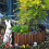 Φράκτης Ξύλινος Worth Garden 8 in. H. x 3.7 ft. L. για Κήπο 2