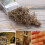 Μινιατούρα Ρίζας Φυτών για DIY Μοντέλα Σκηνών Στρατού και Σιδηροδρόμου 1