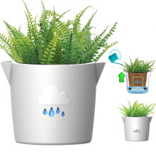 King's Gardening Pot intelligent - Pot d'arrosage auto-arrose pour interieur en plein air Indicateur de niveau d'eau de nuage anime Planteur resi