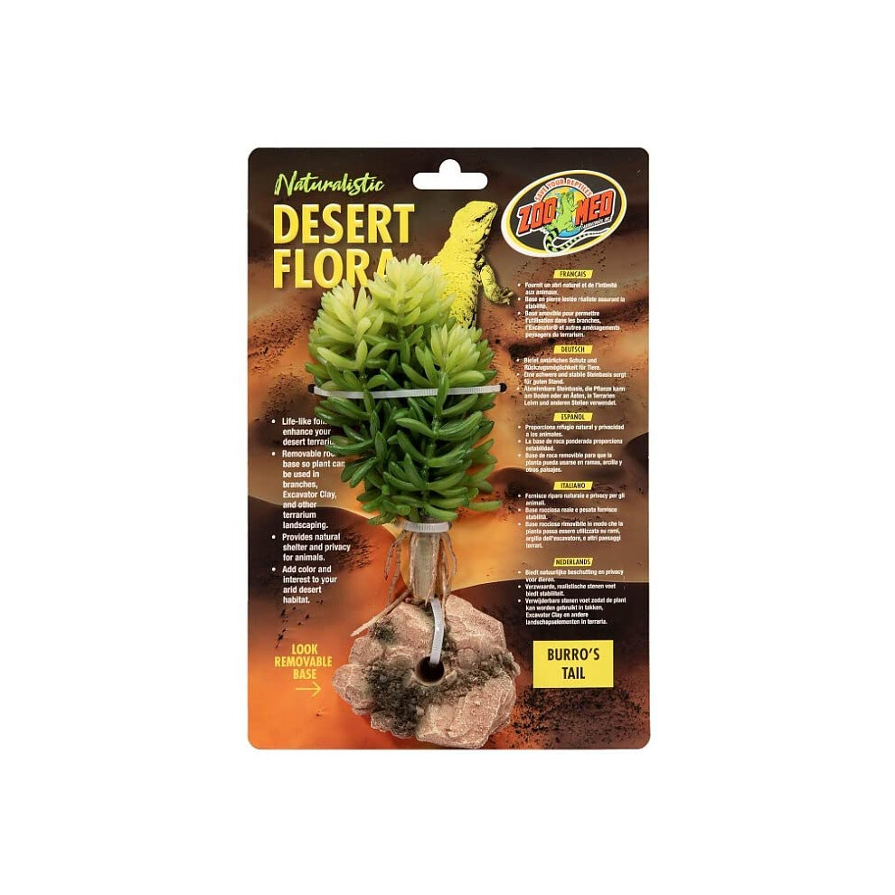 Zoo Med Burros Tail Desert Flora Terrarium Plant