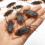 12 Pcs Simulated Plastic Cockroaches Deceptive Props Toy Trick Decor 2