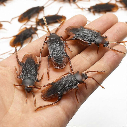 12 Pcs Simulated Plastic Cockroaches Deceptive Props Toy Trick Decor 1