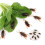 12 Pcs Simulated Plastic Cockroaches Deceptive Props Toy Trick Decor 4