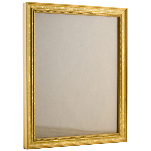 Craig Frames Stratton  17x23 Picture Frame  Aged Gold 2