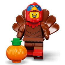 LEGO Turkiets drkt (71034)