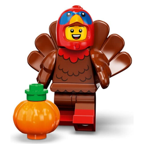 LEGO LEGO Turkiets drkt (71034)