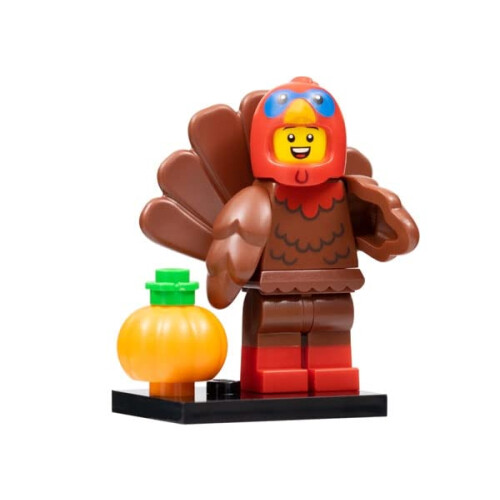 LEGO LEGO Turkiets drkt (71034) 2