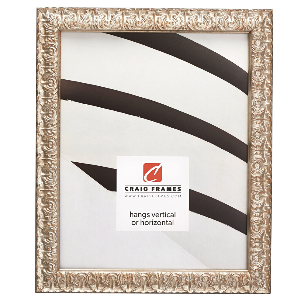 Cadre Photo 16X16 De Craig Frames Versailles, Argent Et Orn-image
