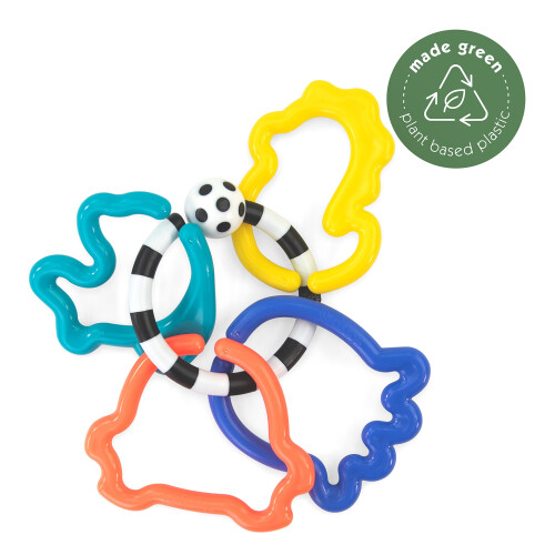 Sassy Eco-Ocean Link en masse 2