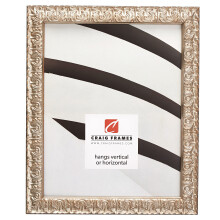 Craig Frames Versailles 17x23 Picture Frame Ornate Silver