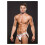 ENVY Envy Logo Elastic Low Rise Mesh Jock White M/L 1