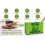 Σαπούνι Vaadi Herbals Aloe Vera 75 Γραμμάρια (10.6 Ουγγιές (Συσκευασία 4 Χ 75 Γραμμάρια)) 3