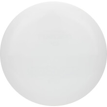 Discraft All White  Understamped ESP Thrasher 173-174 Gram Distance Driver Golf Disc