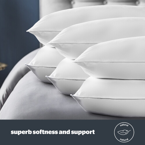 Silentnight Silentnight Duck Feather And Down Anti Allergy Pillows 6 Pack 1