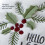Sada 3D uter   kov SKL Home Hello Winter Holly 3