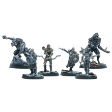 Modiphius Entertainment: The Elder Scrolls: Call to Arms Companions 6 Figuren, unbemalte Resin-Miniaturen, Tabletop-Miniaturen, Spiel lizenziert