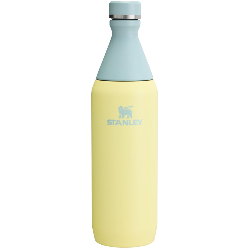 Stanley All Day Slim Bottle 20 OZ  Twist off Lid with Leakproof Seal  Slim Design for Travel  Gym  Insulated Stainless Steel