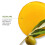 BIOLAGE Strength Recovery Leave-In Conditioner Spray | Θεραπεία και Προστασία για Μαλλιά 4