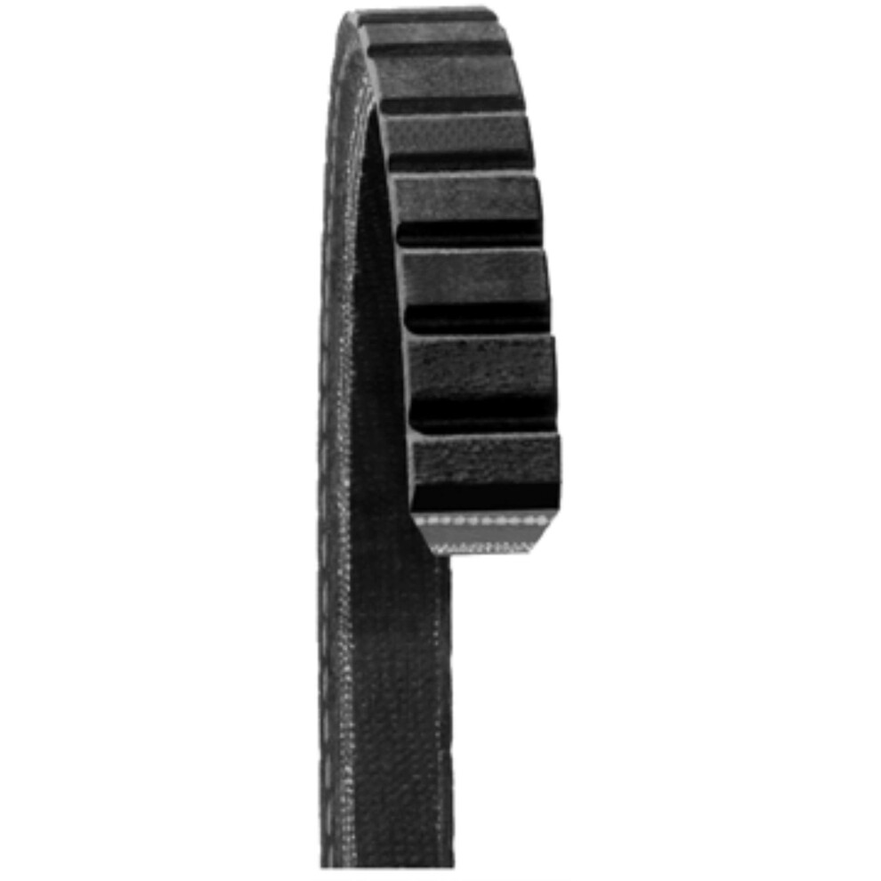 Dayco 15595 Fan Belts Black 036687108142