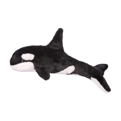 Douglas Ausguss Orca Wal (3)